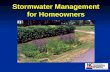 Stormwater Management for Homeowners. Where does water go?