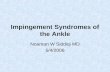 Impingement Syndromes of the Ankle Noaman W Siddiqi MD 5/4/2006.