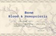 1 Bone Blood & Hemopoiesis Jun Zhou ( 周俊 ) School of Medicine, Zhejiang University 20150324.