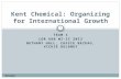 TEAM 1 LDR 660 WI-II 2013 BETHANY HALL, CASSIE BEZEAU, VICKIE DELANEY Delaney 1 Kent Chemical: Organizing for International Growth.