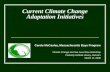 Current Climate Change Adaptation Initiatives Carole McCauley, Massachusetts Bays Program Climate Change and Sea Level Rise Workshop Peabody Institute.