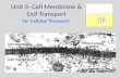 Unit 5- Cell Membrane & Cell Transport 5b- Cellular Transport.