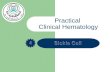 Practical Clinical Hematology. What is Sickle cell: Sickle cell anemia is an inherited disorder that leads to the production of an abnormal hemoglobin.