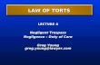 LAW OF TORTS LECTURE 4 Negligent Trespass Negligence – Duty of Care Greg Young greg.young@lawyer.com.