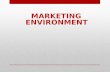 MARKETING ENVIRONMENT. THE MARKETING ENVIRONMENT The Marketing Environment can be defined all the Internal and External Factors and Forces that affect.