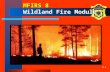 8-1 MFIRS 8 Wildland Fire Module. 8-2 Optional Wildland Fire Module The State Fire Marshal will accept this data… Currently this module does not replace.