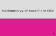Epidemiology of Anaemia in CKD. The Burden of CKD An Under-Recognised Condition.