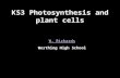 KS3 Photosynthesis and plant cells W. Richards Worthing High School.