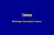 Tissues Histology- the study of tissues. 4 tissue types 1.Epithelial Tissue – Covers both internal and external surfaces 2.Muscle Tissue – Highly specialized.