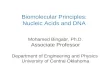 Biomolecular Principles: Nucleic Acids and DNA Mohamed Bingabr, Ph.D. Associate Professor Department of Engineering and Physics University of Central Oklahoma.