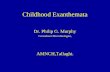 Childhood Exanthemata Dr. Philip G. Murphy Consultant Microbiologist, AMNCH,Tallaght.
