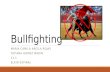 Bullfighting MARIA CAMILA ARCILA ROJAS TATIANA GOMEZ MARIN 11.1 ELKIN ESPINAL.