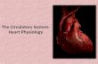 The Circulatory System: Heart Physiology. Heart Structure Review.
