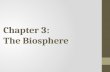 Chapter 3: The Biosphere. Warm Up 4/20 What is Ecology? Explain in your words after looking at the vocab.