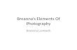 Breanna’s Elements Of Photography Breanna Lambeth.