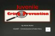 Juvenile What is Juvenile Crime Prevention? Why is it a problem?  It is an initiative where the state or the nation fights to reduce instances of crime.