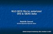 NLO QCD fits to polarized DIS & SIDIS data NLO QCD fits to polarized DIS & SIDIS data Rodolfo Sassot Universidad de Buenos Aires Global Analysis Workshop,