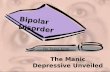 The Manic Depressive Unveiled By Tessa Krog Bipolar Disorder.
