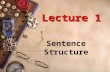 Lecture 1 Sentence Structure. Lecture 1 Sentence Structure There two main points in this lecture: 1.1 Clause ElementsClause Elements 1.2 Basic Clause.