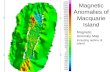 Magnetic Anomaly Map Including outline of island Magnetic Anomalies of Macquarie Island.