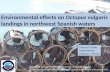 Environmental effects on Octopus vulgaris landings in northwest Spanish waters. Gersom Costas Isabel Bruno Graham J. Pierce 2014I CES Annual Science Conference.