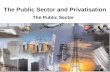The Public Sector and Privatisation The Public Sector.
