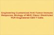 Engineering Customized Anti-Tumor Immune Response: Biology of MHC Class I Restricted TCR Engineered CD4 T Cells.