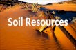 Soil Resources. The importance of Soil resources ------Hallie.