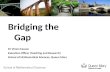 Bridging the Gap Dr Vivien Easson Executive Officer (Teaching and Research) School of Mathematical Sciences, Queen Mary.