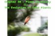 Chapter 30 – Plant Diversity II: Chapter 30 – Plant Diversity II: The Evolution of Seed Plants.