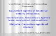 Microbiology, Virology, and Immunology Department Causative agents of bacterial enteric infections: escherichiosis, klebsiellosis, typhoid fever, paratyphoid,