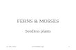 13 Feb. 2012Ferns&Moss.ppt1 FERNS & MOSSES Seedless plants.