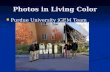 Photos in Living Color Purdue University iGEM Team Purdue University iGEM Team.