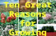 Ten Great Reasons for Growing Clover. 1.Biological Nitrogen Fixation 2.Improved Forage Quality 3.Better Distribution of Growth 4.Increased Forage Yield.