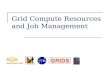 Grid Compute Resources and Job Management. 2 Job and compute resource management This module is about running jobs on remote compute resources.