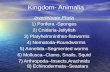 Kingdom- Animalia Invertebrate Phyla 1) Porifera -Sponges 2) Cnidaria-Jellyfish 3) Platyhelmninthes-flatworms 4) Nematoda-Roundworms 5) Annelida--Segmented.