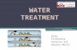 Alba Escoruela Valeria Gil Daniel Martí. INDEX Water treament process Main water treatment plants Pinedo’s water treatment plant El Saler’s water treatment.