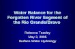 Water Balance for the Forgotten River Segment of the Rio Grande/Bravo Rebecca Teasley May 3, 2005 Surface Water Hydrology.
