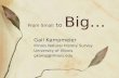 From Small to Big… Gail Kampmeier Illinois Natural History Survey University of Illinois gkamp@illinois.edu.