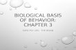 BIOLOGICAL BASIS OF BEHAVIOR: CHAPTER 3 SUPA PSY 205: THE BRAIN.