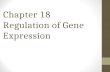 Chapter 18 Regulation of Gene Expression. Prokaryotes and eukaryotes alter gene expression in response to their changing environment. In multicellular.