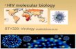HIV molecular biology BTY328: Virology wstafford@uwc.ac.za.