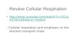 Review Cellular Respiration  A57Brc&feature=related A57Brc&feature=related - Cellular.