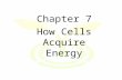 Chapter 7 How Cells Acquire Energy. Self nourishing Obtain carbon from carbon dioxide Photosynthetic autotrophs (plants, protistians, and bacterial membranes)
