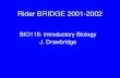 Rider BRIDGE 2001-2002 BIO115: Introductory Biology J. Drawbridge.