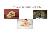 Characteristics of Life. Movement All Living things move.