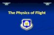The Physics of Flight. Warm-Up Questions CPS Questions 1-2 Chapter 1, Lesson 2.