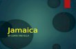Jamaica BY LEWIS AND ELLA. Location  Jamaica is located in the Caribbean, South from central America.  Jamaica is third largest island in the Greater.
