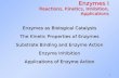 1 Enzymes I Reactions, Kinetics, Inhibition, Applications Enzymes as Biological Catalysts The Kinetic Properties of Enzymes Substrate Binding and Enzyme.