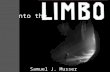 Into the By Samuel J. Musser. Into the Limbo By Samuel J. Musser.